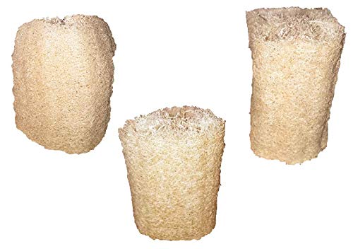 Natural Exfoliating Loofah Sponge Renewable Resource(Pack of 3) Mayan Loofah