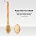 Dry Brushing Body Brush Set, Natural Exfoliating Body Brush & Body Massage Brush, Hair Scalp Massager Shampoo Brush, Loofah Sponge Pads, Pumice Stone, Great Gift for Glowing More Youthful Skinthumb 2