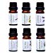Essential oils by PURE ESSENTIALS 100% Pure Therapeutic Grade Oils kit- Top 6 Aromatherapy Oils Gift Set-6 Pack, 10ML(Eucalyptus, Lavender, Lemon grass, Orange, Peppermint, Tea Tree)thumb 1