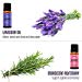 Natrogix Bliss Essential Oils – Top 9 Therapeutic Grade 100% Pure Essential Oil Set 9/10ml (Tea Tree, Lavender, Eucalyptus, Frankincense, Lemongrass, Lemon, Rosemary, Orange, Peppermint) w/Free E-Bookthumb 3