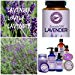 Lavender Essential Oil 15ml – Aromatherapy Verified Therapeutic Quality 100% Pure Premium Distilled aceite lavanda esencial puro diffuse for Yoga Relaxation Meditation Stress by Creation Pharmthumb 3