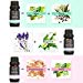 Essential Oils, LuckyFine 100% Pure & Natural Aromatherapy Oil, Top 6 Essential Oils Set, Therapeutic-Grade Upgraded Aroma Starter Gift Set for Baby Women and Men Spa Relax (6 x 10ml/Bottle)thumb 3