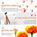 Eye Vitamins 20mg Lutein & 4mg Zeaxanthin and VIT A&E for Vision and Eyes Health Supplements, Promotes Retinal and Macular Health, Based on AREDS 2thumb 1